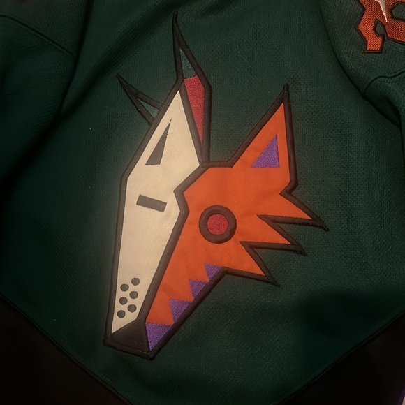 🏒🌵 Vintage Arizona Coyotes Pro Player jersey youth size S/M - Picture 3 of 5